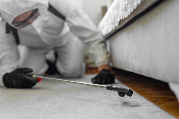Professional Bed Bug Control technician working in Mathews County County, VA